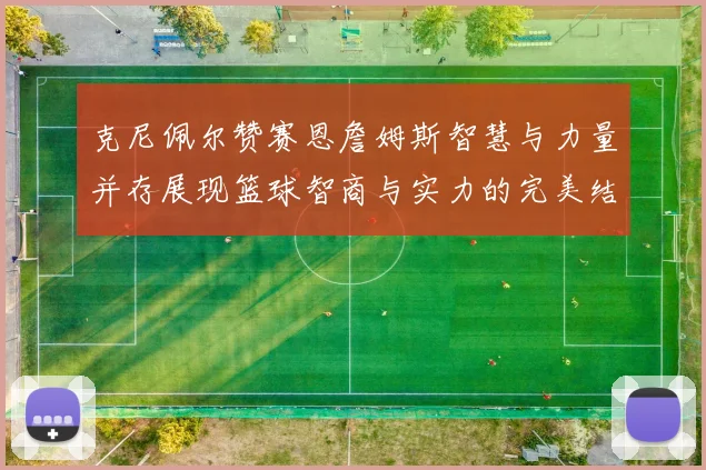克尼佩尔赞赛恩詹姆斯智慧与力量并存展现篮球智商与实力的完美结合