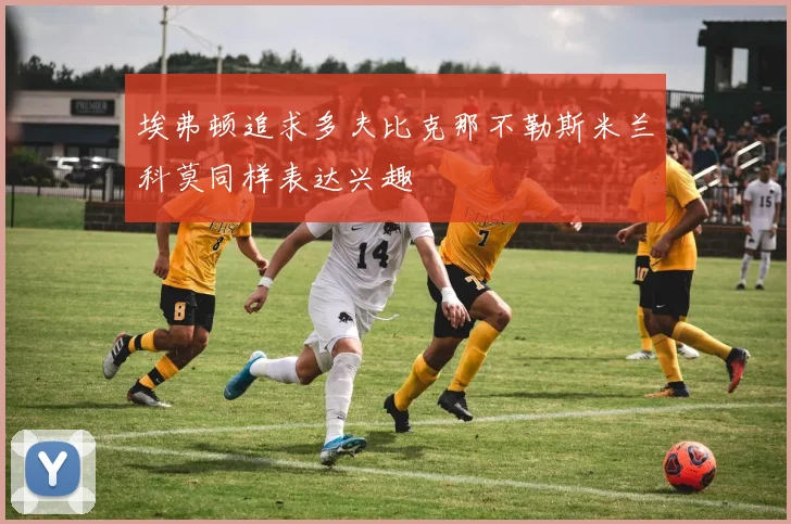 埃弗顿追求多夫比克那不勒斯米兰科莫同样表达兴趣